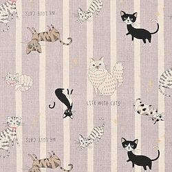 Cat Stripe - Canvas